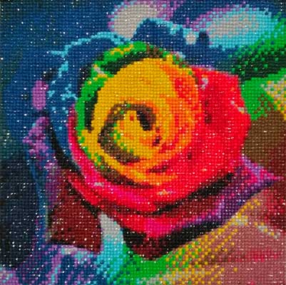 Colourful Rose